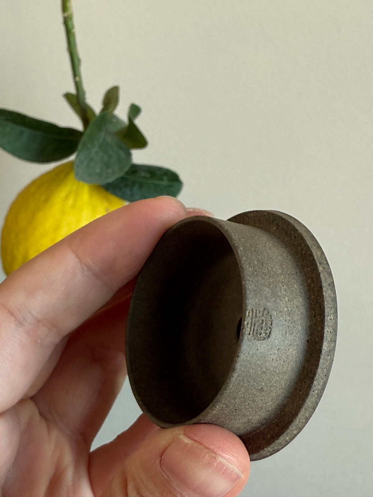 Han Duo Yixing Teapot 170ml
